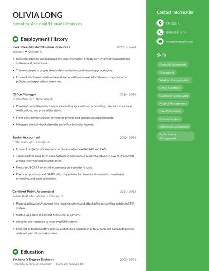 Resume example 4