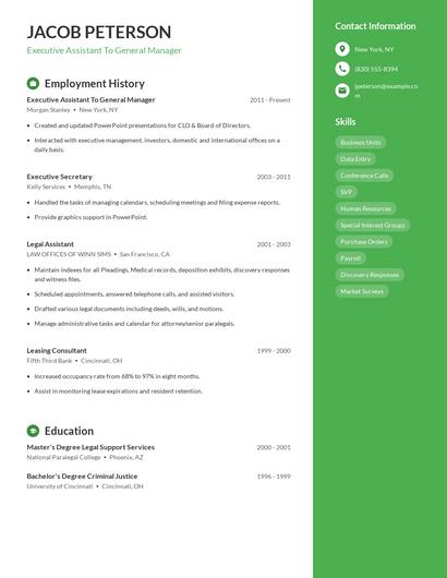 Resume example 4