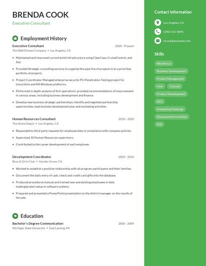 Resume example 5