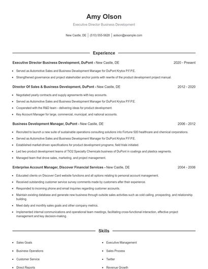 Executive Director Business Development Resume