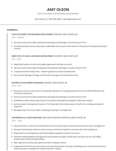 Executive Director Business Development Resume