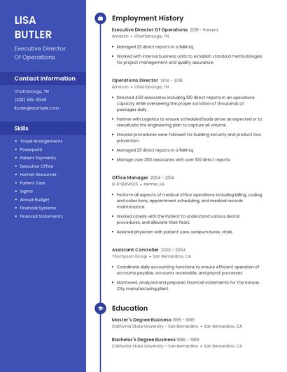 Resume example 4