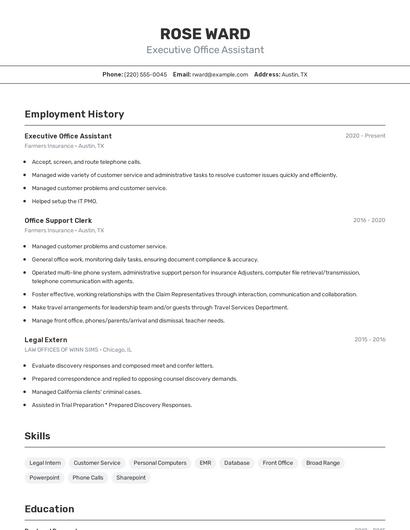 Resume example 2