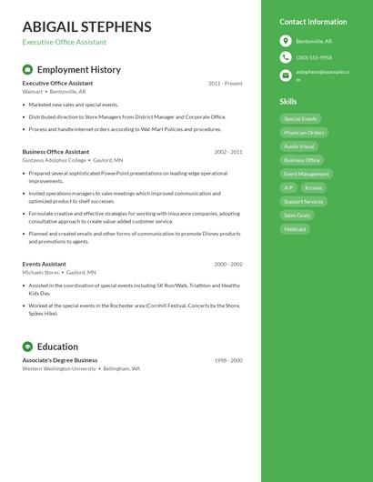 Resume example 5