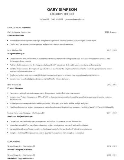 Executive Officer Resume