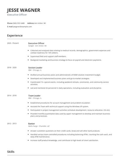 Executive Officer Resume