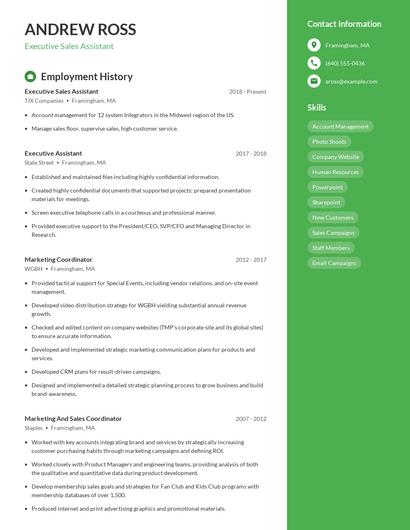 Resume example 4
