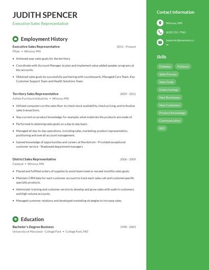 Executive Sales Representative Resume