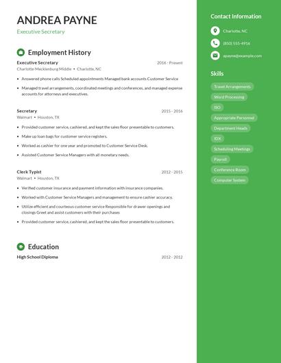 Resume example 5