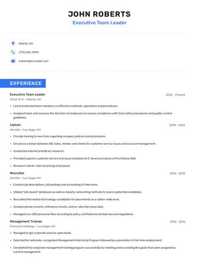 Executive Team Leader Resume