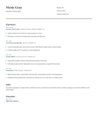 Executive Team Leader Resume