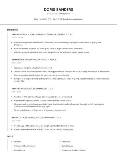 Executive Team Leader Resume