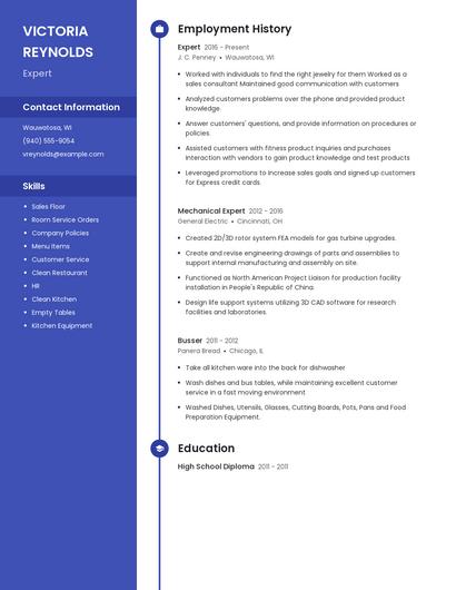 Resume example 4