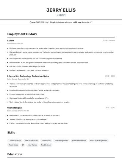 Resume example 2