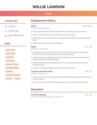 Resume example 3