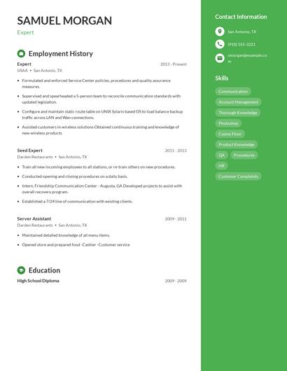 Resume example 5