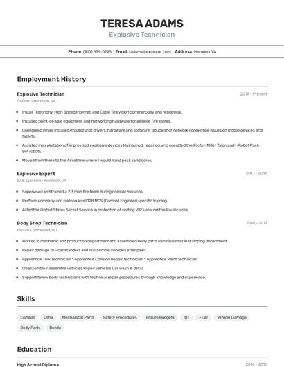Explosive Technician Resume