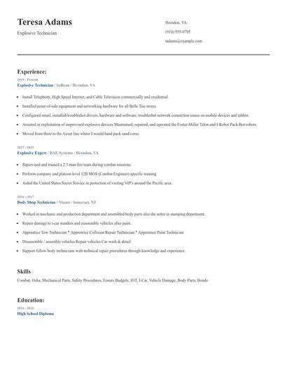 Explosive Technician Resume