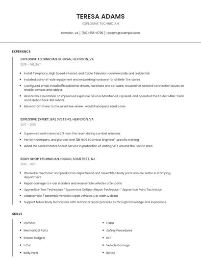 Explosive Technician Resume