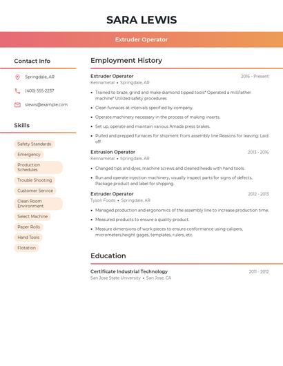 Resume example 3