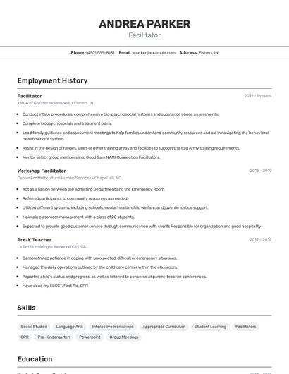 Resume example 2