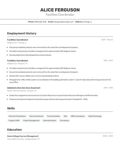 Resume example 2
