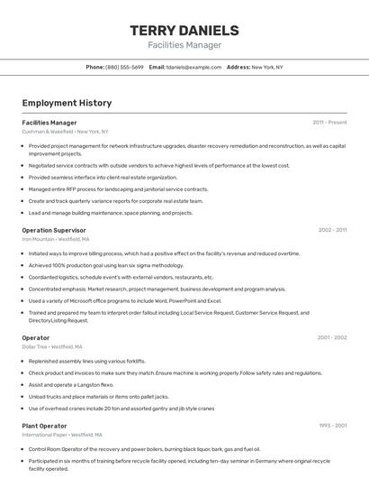 Resume example 2