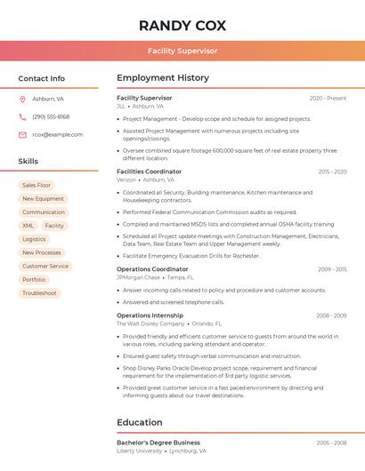 Resume example 3
