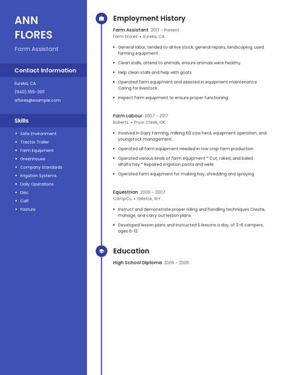 Resume example 4