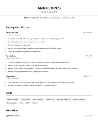 Resume example 2