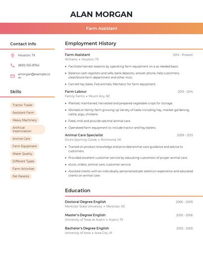 Resume example 3