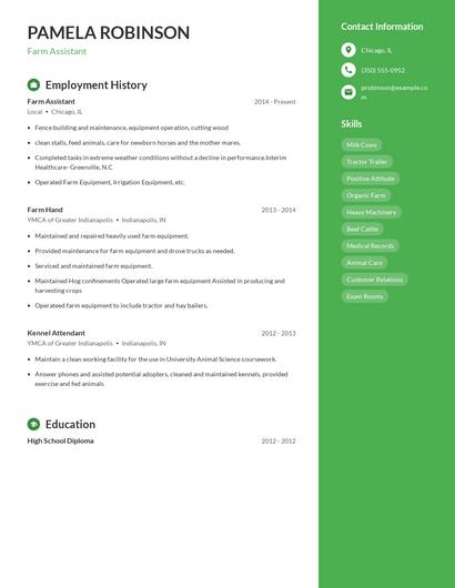 Resume example 5