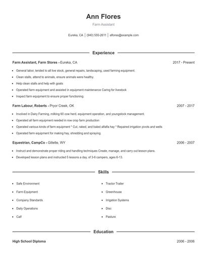 Resume example 1