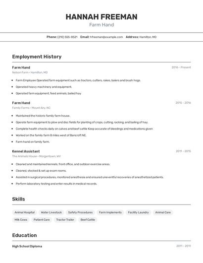 Resume example 2