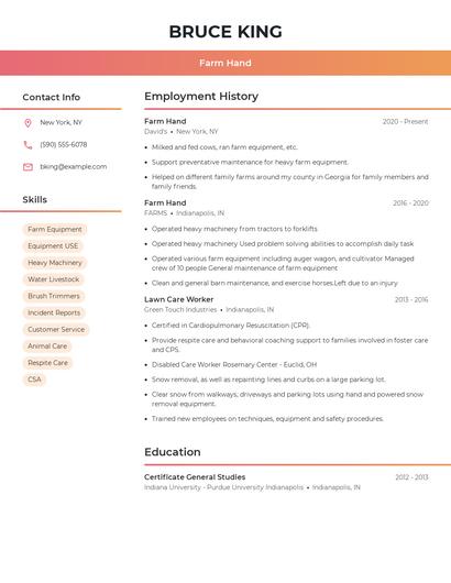 Resume example 3