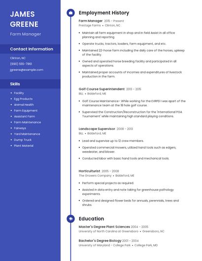 Resume example 5