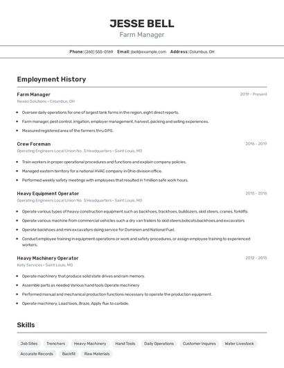Resume example 2