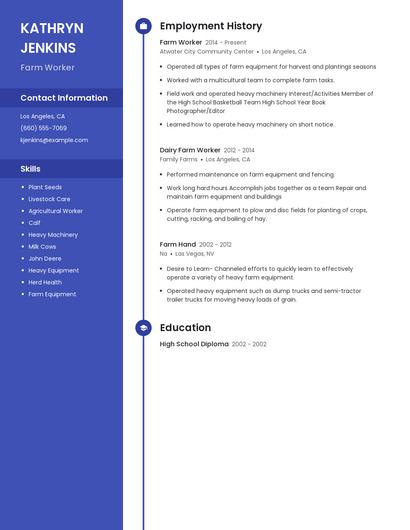 Resume example 5