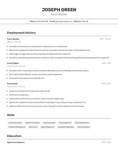 Resume example 2