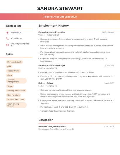 Federal Account Executive Resume