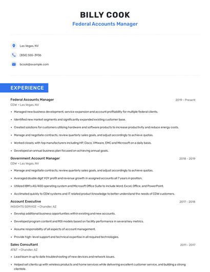 Federal Accounts Manager Resume