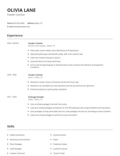 Feeder Catcher Resume