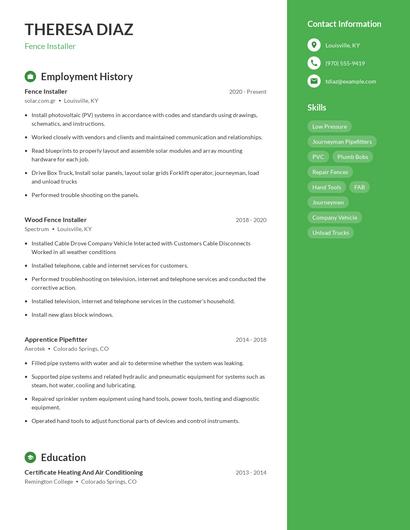 Resume example 4