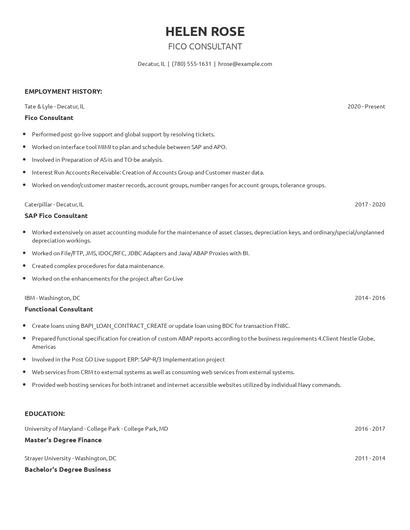 Fico Consultant Resume
