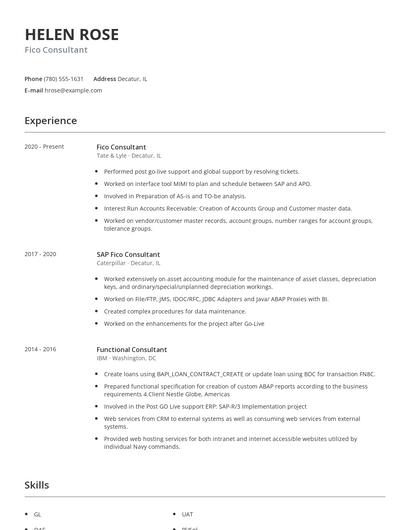 Fico Consultant Resume