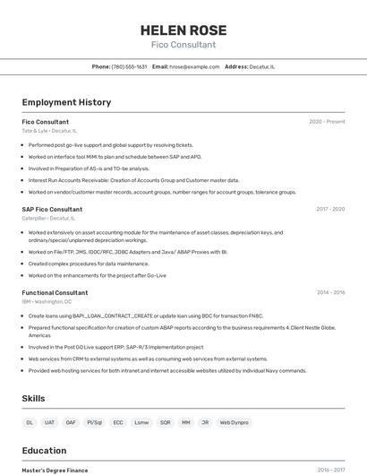 Fico Consultant Resume