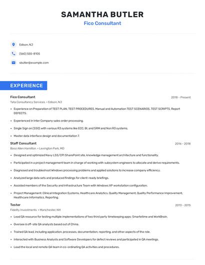 Fico Consultant Resume