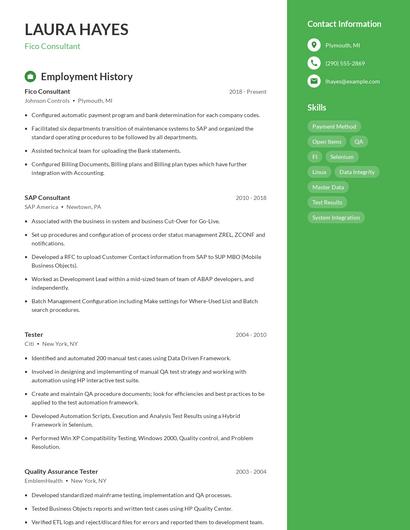Fico Consultant Resume