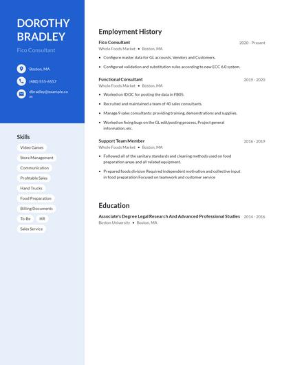 Fico Consultant Resume