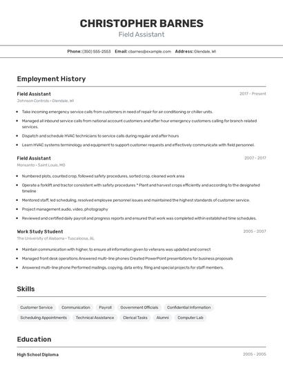 Resume example 2